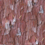 Bark