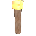Torch