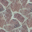 Marble