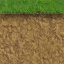 Grass Top