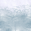 Snow Top